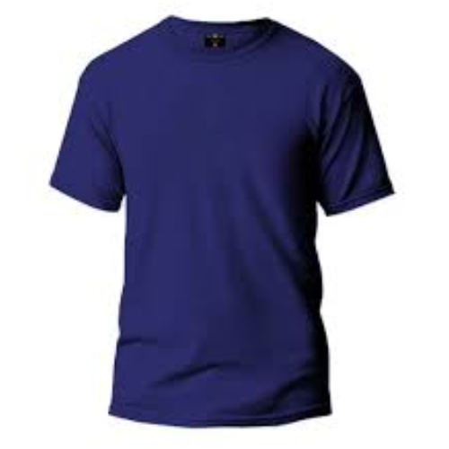 Blue Round neck T shirt